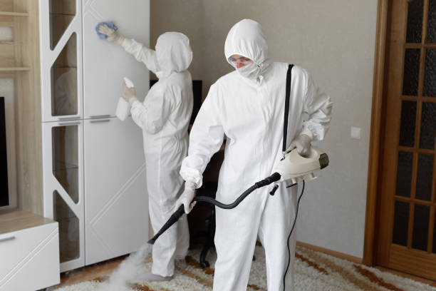 Trusted Sewage Cleanup service in Greenville, MI - Four Month Blood Cleanse